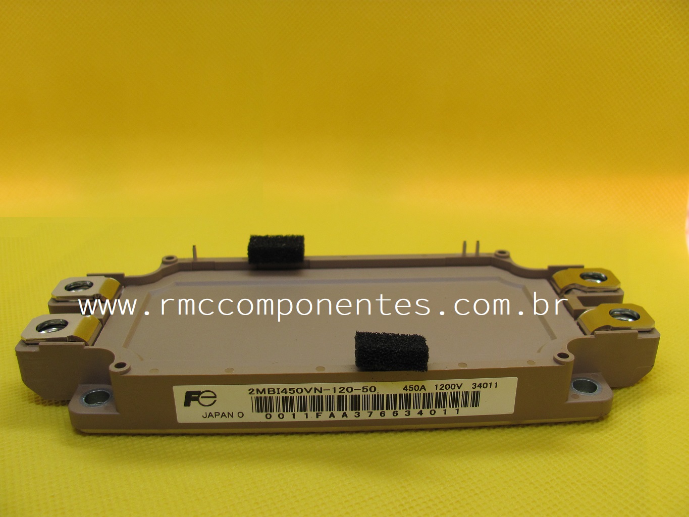 15240534288-2mbi450vn-120-50-fm