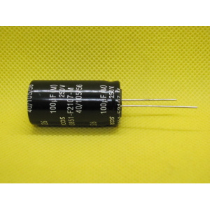 B43851F2107M0 100uF X 250V  18X35
