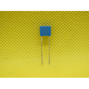 CAP POL 1nF/100VDC B32529C1102J289